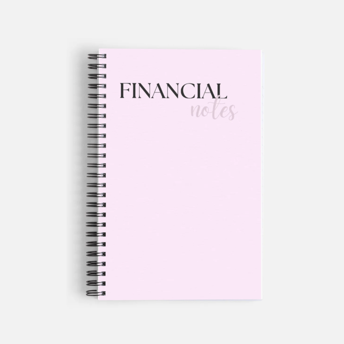 Financial Notes Notebook