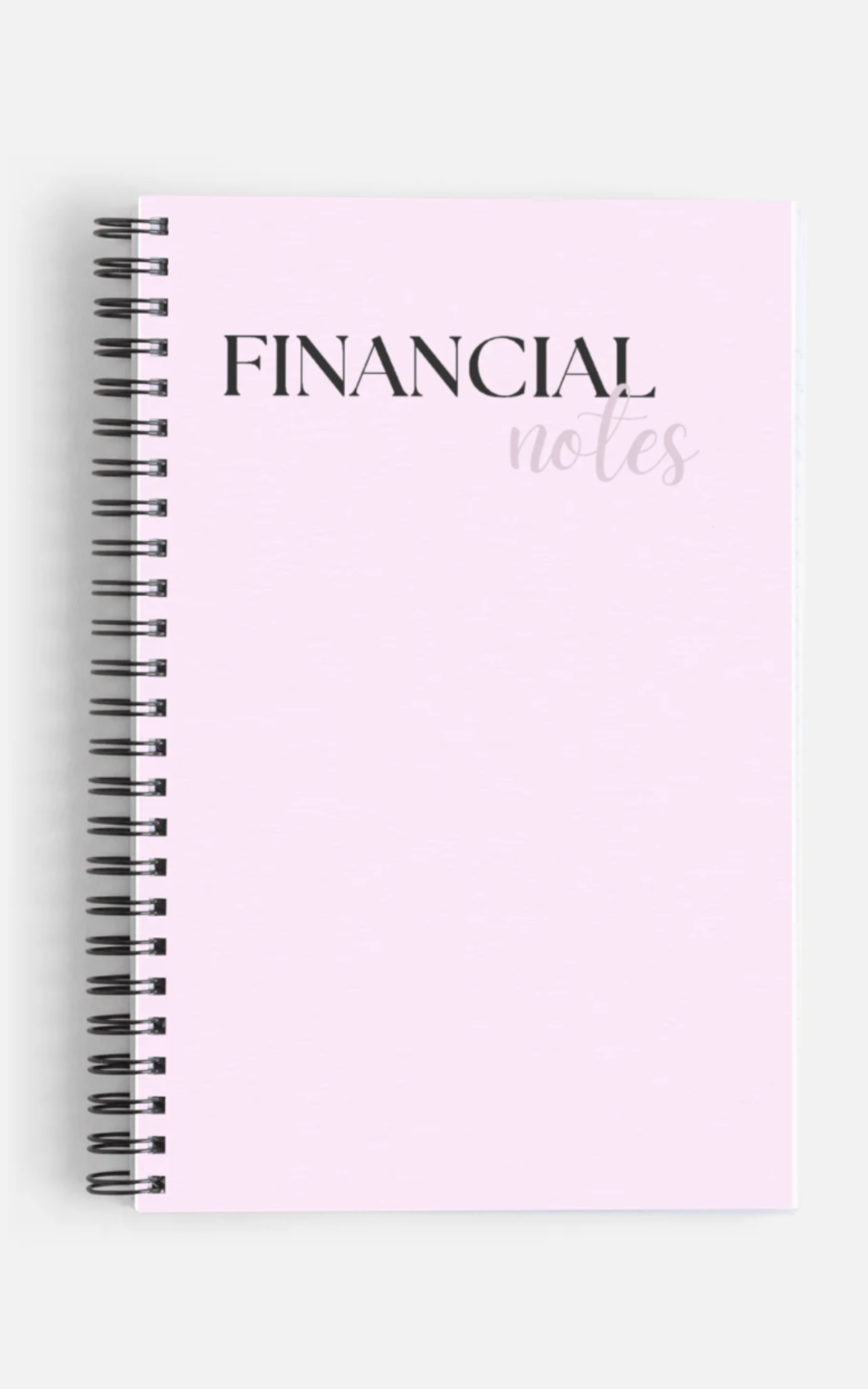 Financial Notes Notebook